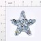 3 1/4&#x22; x 3 1/4&#x22; Star Bead and Sequin Applique/Patch